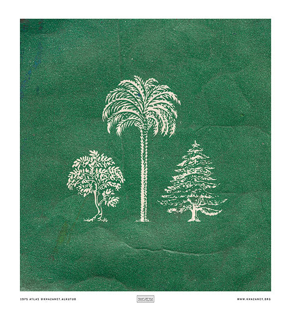 1975 Arabian Trees - أشجار عربية